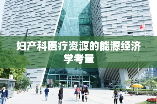 妇产科医疗资源的能源经济学考量