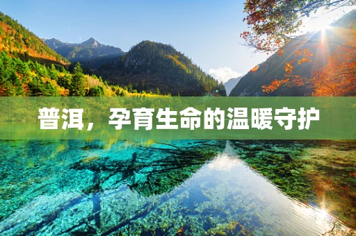 普洱，孕育生命的温暖守护