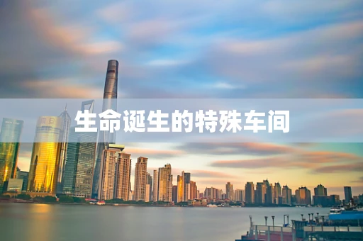 生命诞生的特殊车间