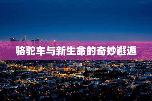 骆驼车与新生命的奇妙邂逅