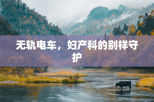 无轨电车，妇产科的别样守护