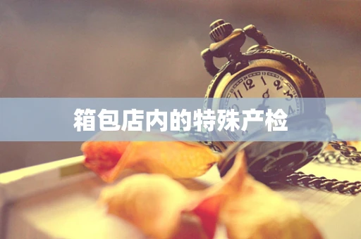箱包店内的特殊产检