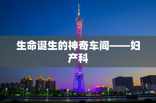 生命诞生的神奇车间——妇产科