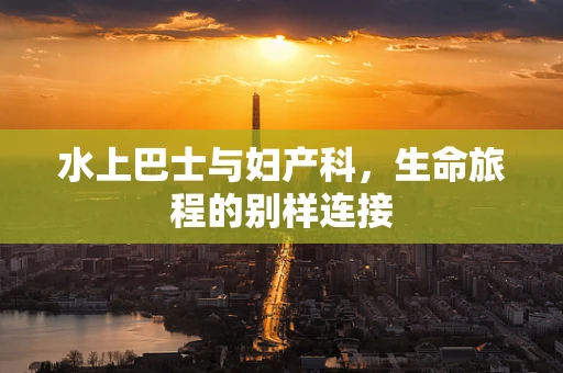水上巴士与妇产科，生命旅程的别样连接