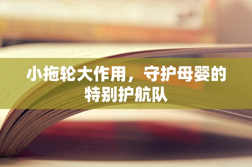 小拖轮大作用，守护母婴的特别护航队