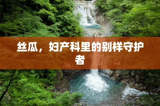 丝瓜，妇产科里的别样守护者