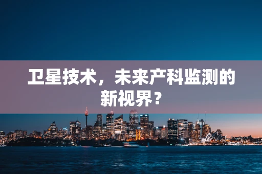 卫星技术，未来产科监测的新视界？