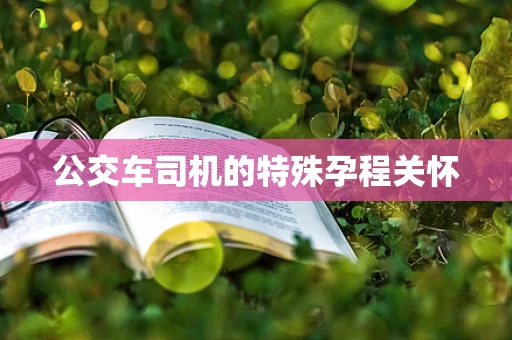 公交车司机的特殊孕程关怀