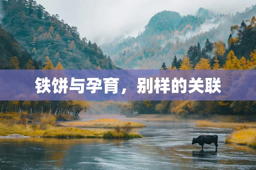 铁饼与孕育，别样的关联