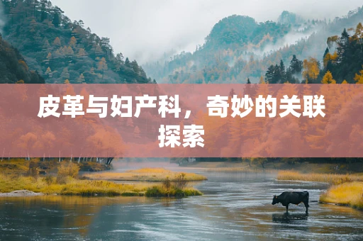 皮革与妇产科，奇妙的关联探索