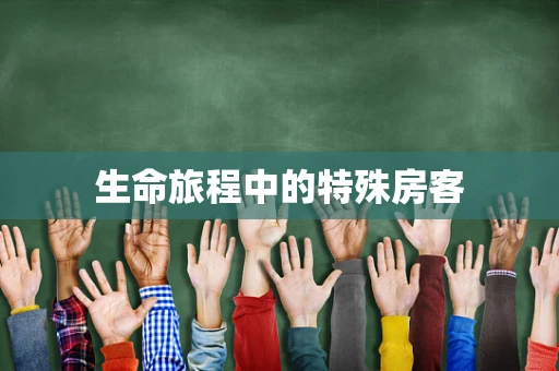 生命旅程中的特殊房客