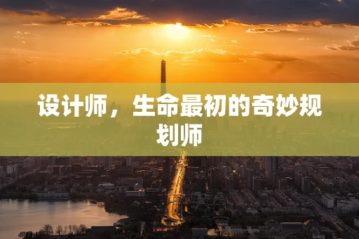 设计师，生命最初的奇妙规划师