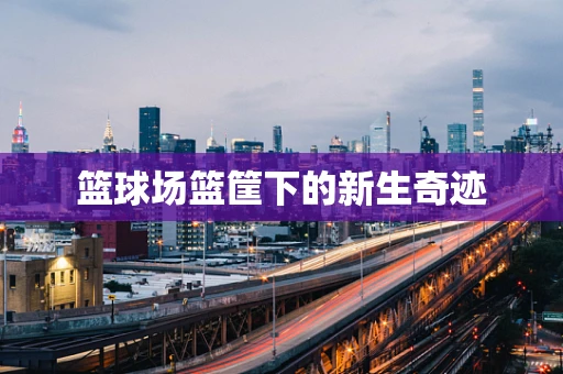 篮球场篮筐下的新生奇迹