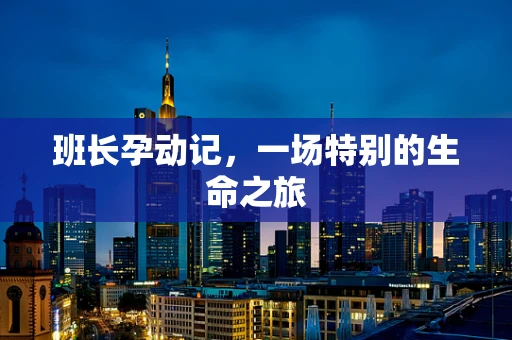 班长孕动记，一场特别的生命之旅