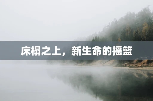 床榻之上，新生命的摇篮