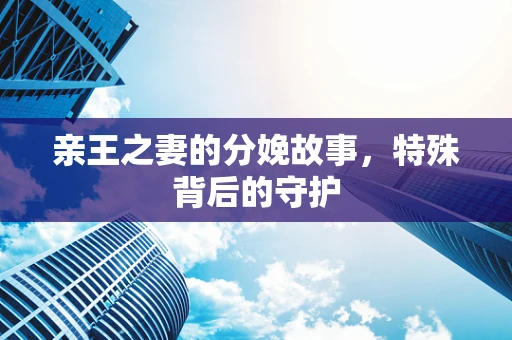 亲王之妻的分娩故事，特殊背后的守护