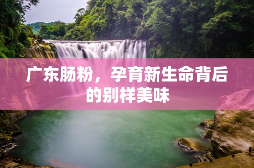 广东肠粉，孕育新生命背后的别样美味