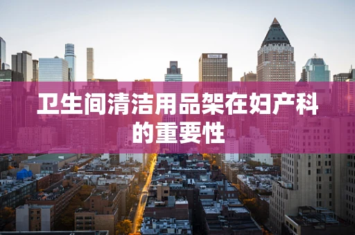 卫生间清洁用品架在妇产科的重要性
