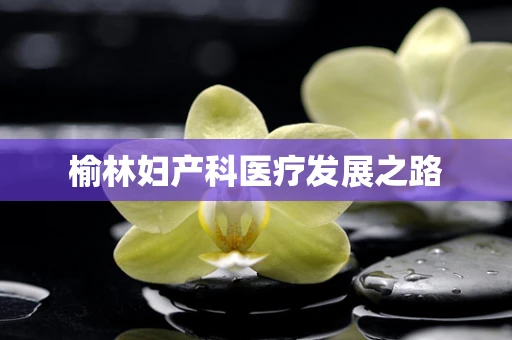 榆林妇产科医疗发展之路