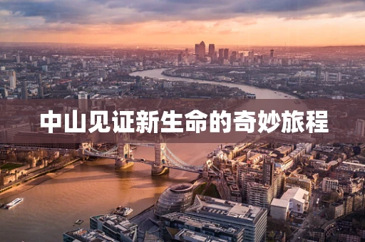 中山见证新生命的奇妙旅程