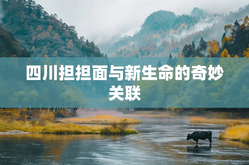 四川担担面与新生命的奇妙关联