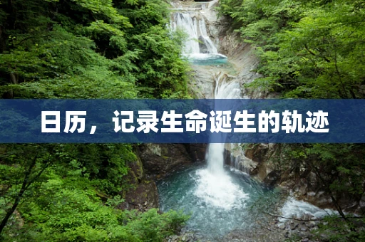 日历，记录生命诞生的轨迹
