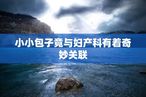 小小包子竟与妇产科有着奇妙关联