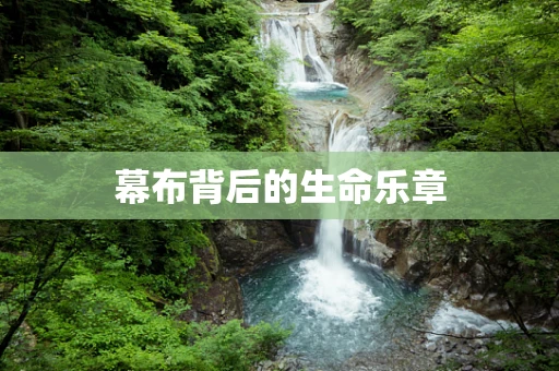 幕布背后的生命乐章