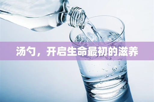 汤勺，开启生命最初的滋养