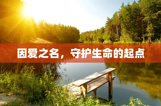 因爱之名，守护生命的起点