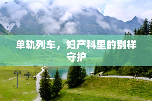 单轨列车，妇产科里的别样守护