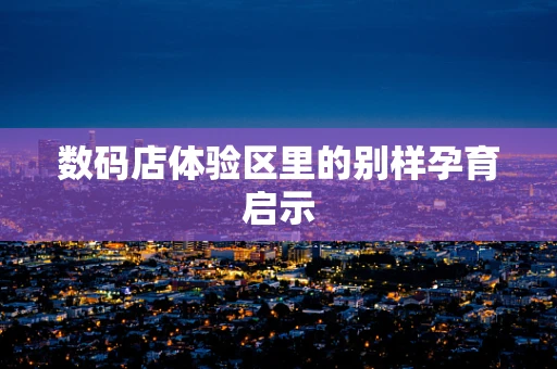 数码店体验区里的别样孕育启示