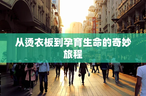 从烫衣板到孕育生命的奇妙旅程