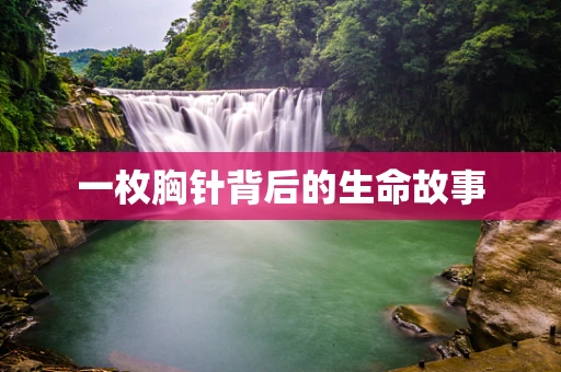 一枚胸针背后的生命故事