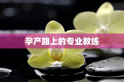 孕产路上的专业教练