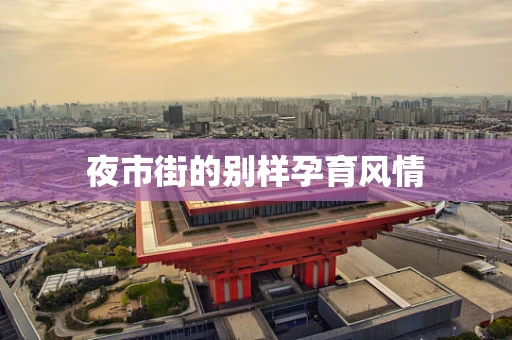 夜市街的别样孕育风情