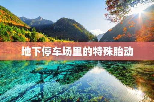 地下停车场里的特殊胎动