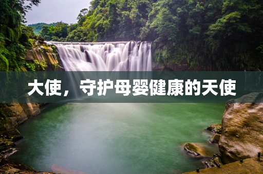 大使，守护母婴健康的天使