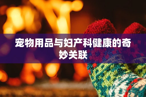 宠物用品与妇产科健康的奇妙关联