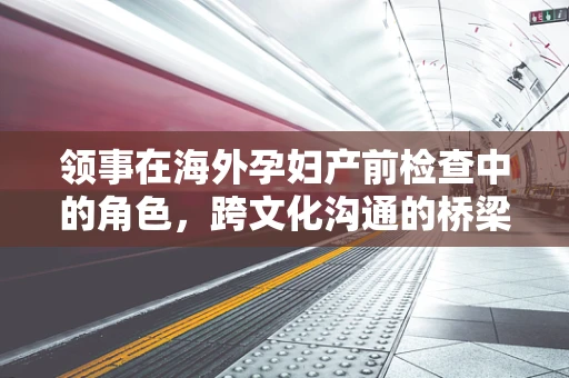 领事在海外孕妇产前检查中的角色，跨文化沟通的桥梁？