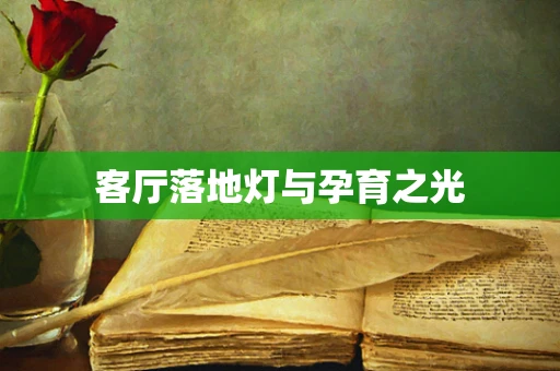 客厅落地灯与孕育之光
