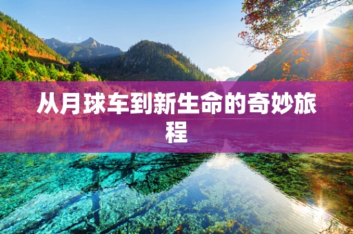 从月球车到新生命的奇妙旅程