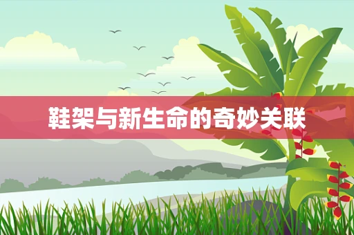 鞋架与新生命的奇妙关联