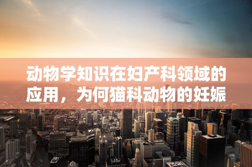 动物学知识在妇产科领域的应用，为何猫科动物的妊娠期对人类生育有启示？