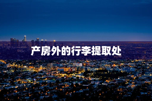 产房外的行李提取处