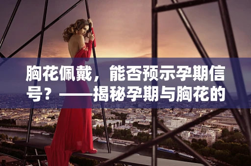 胸花佩戴，能否预示孕期信号？——揭秘孕期与胸花的不解之缘