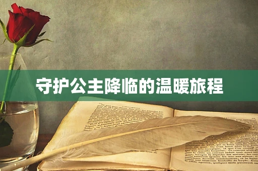 守护公主降临的温暖旅程