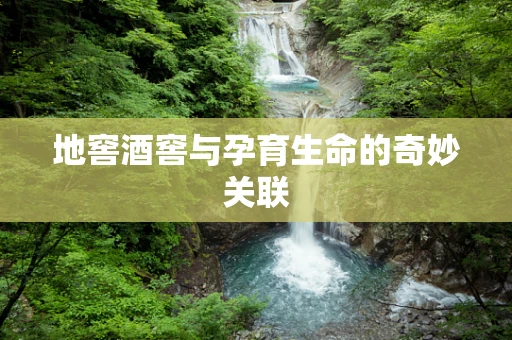 地窖酒窖与孕育生命的奇妙关联