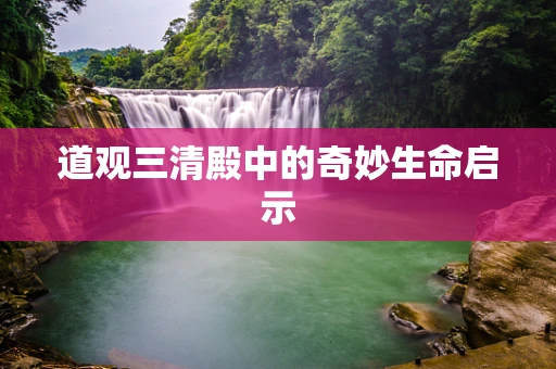 道观三清殿中的奇妙生命启示
