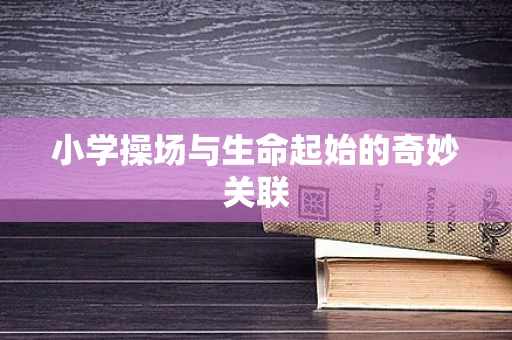 小学操场与生命起始的奇妙关联